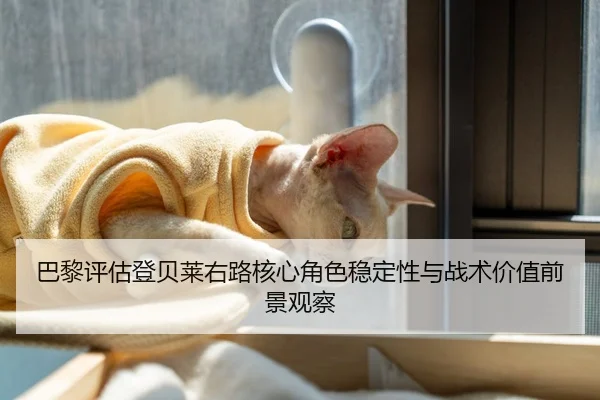 巴黎评估登贝莱右路核心角色稳定性与战术价值前景观察