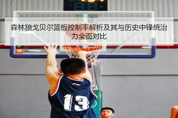 森林狼戈贝尔篮板控制率解析及其与历史中锋统治力全面对比