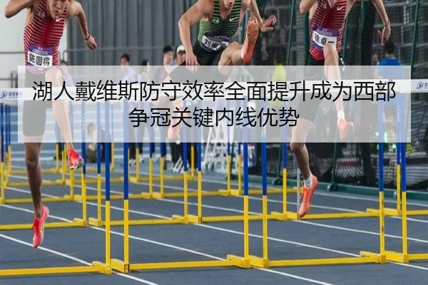 湖人戴维斯防守效率全面提升成为西部争冠关键内线优势