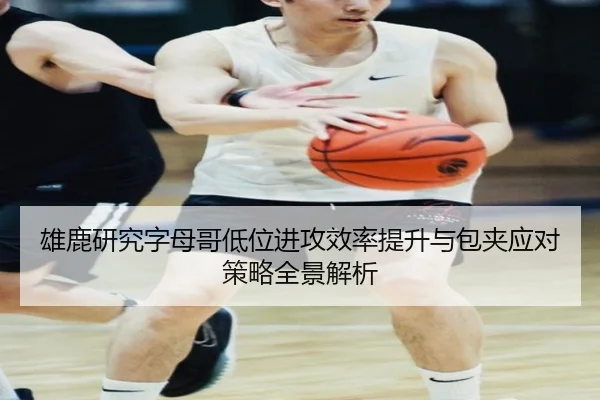 雄鹿研究字母哥低位进攻效率提升与包夹应对策略全景解析